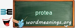 WordMeaning blackboard for protea